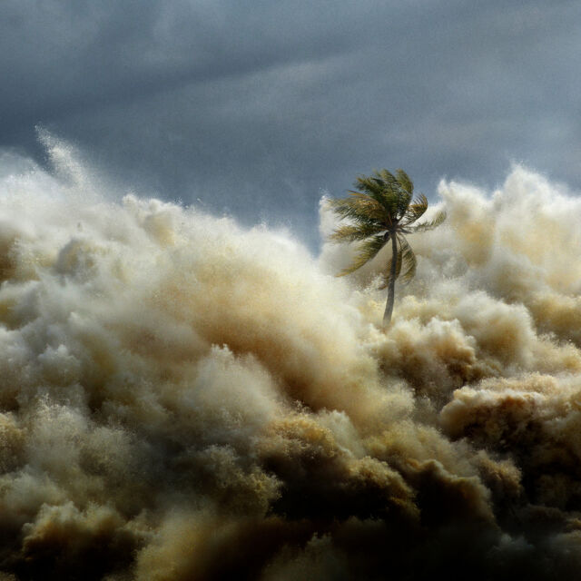 Tsunami: utrka s vremenom