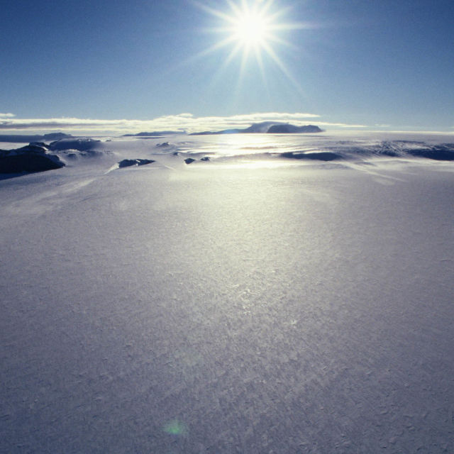 Divlja Antarktika